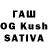 Псилоцибиновые грибы Psilocybine cubensis thmlrd
