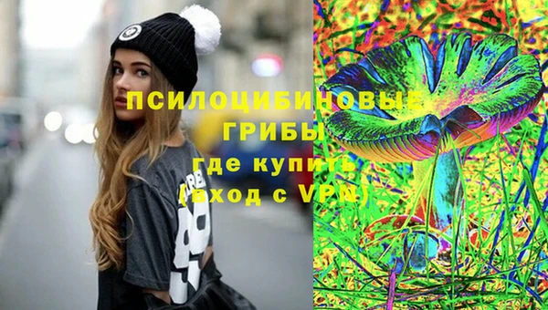 дурь Богданович