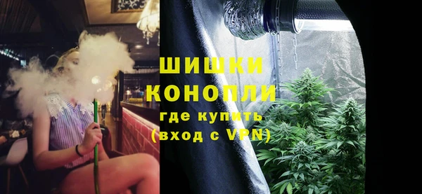 дурь Богданович