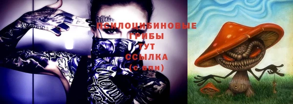 метадон Богородицк